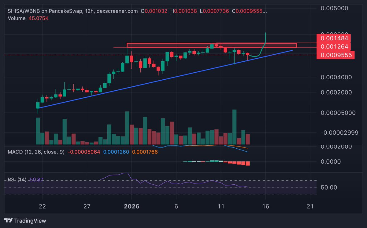 fatihcrypto1's tweet photo. . $SHISA looks good. 2M imminent before 10M imo. 
#meme s r pumping lets goo. https://t.co/y8eoTdlt5m