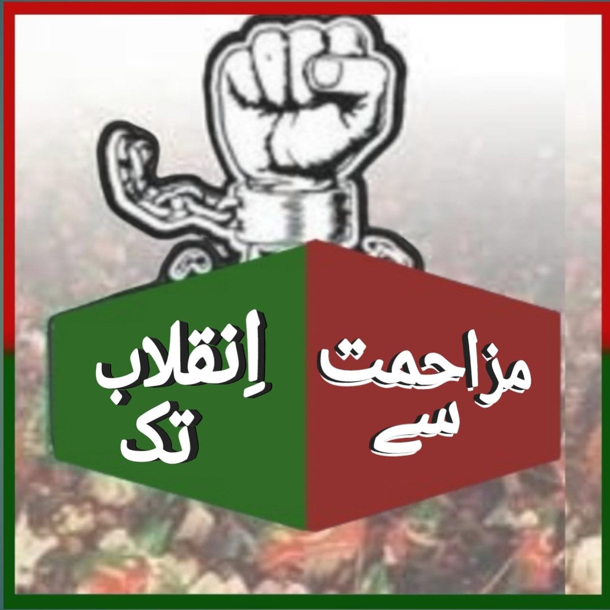 team SOW Official ٹیم شاہین اف واریئر tweet media