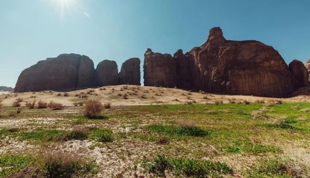 الهيئة الملكية لمحافظة العُلا تحظر أنشطة القيادة أو استخدام المركبات بأساليب تلحق الضرر بأراضي الغطاء النباتي وتفرض غرامات مالية تصاعدية بحق المخالفين حال تكرارها: 500 ريال للمخالفة الأولى. 1000 ريال للمخالفة الثانية. 2000 ريال للمخالفة الثالثة. وذلك في إطار الإجراءات النظامية الرامية إلى ردع السلوكيات الضارة وحماية البيئة الطبيعية والثقافية في المحافظة 