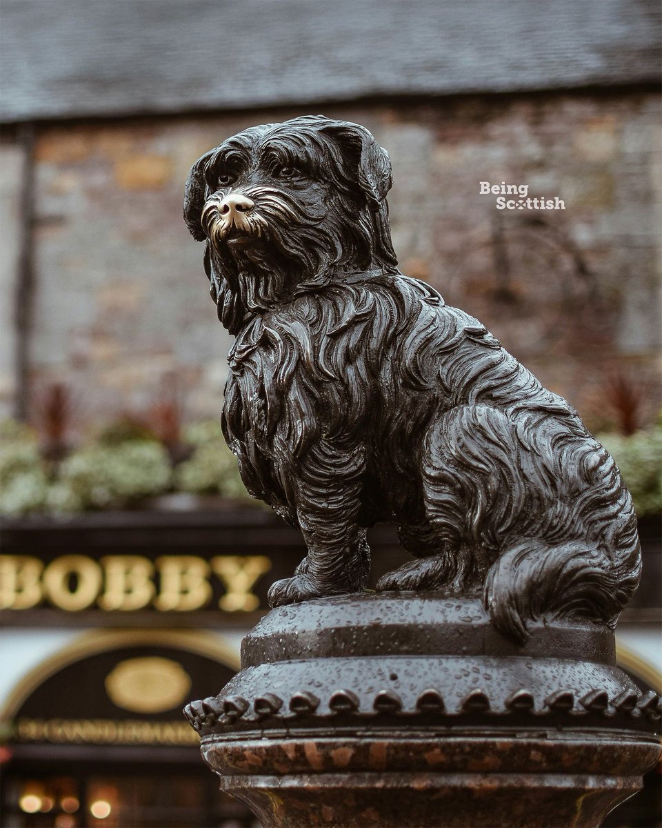On this day in 1872: Scotland's most loyal dug, Greyfriars Bobby, died. 
The Skye Terrier belonged to John Gray, who worked for the Edinburgh City Police as a night watchman. When Gray died in 1858 he was buried in Greyfriars Kirkyard in the Old Town of Edinburgh. (1/2)