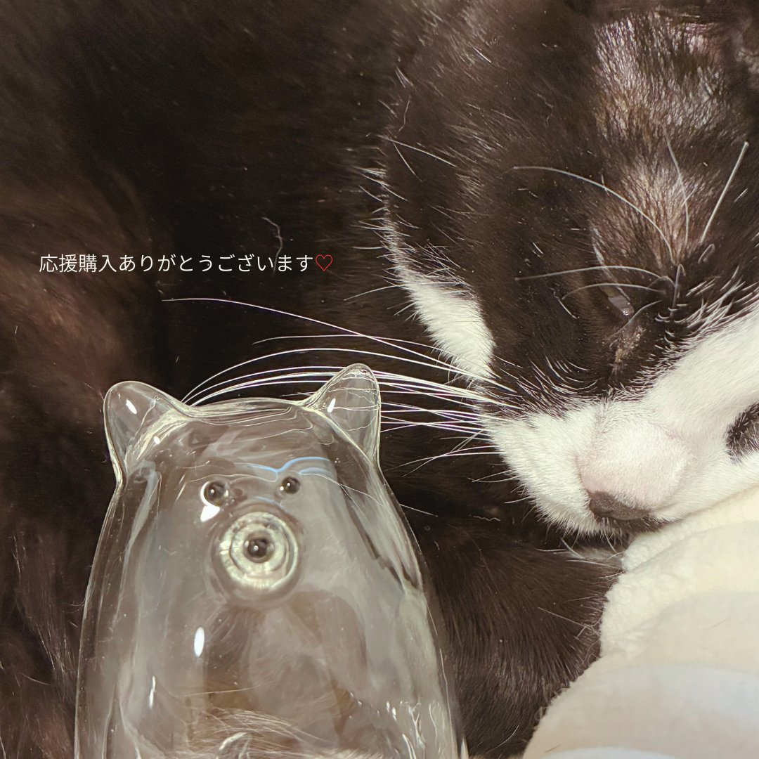 うちの子のけだまだま (@kedamastudio) / Posts / X