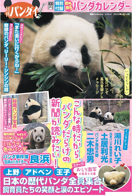 お知らせ】 #日刊ゲンダイ では、来週1/20(火)より”パンダだらけ”の