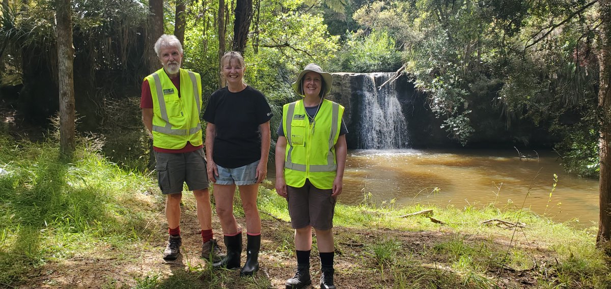Kauri Rescue tweet media