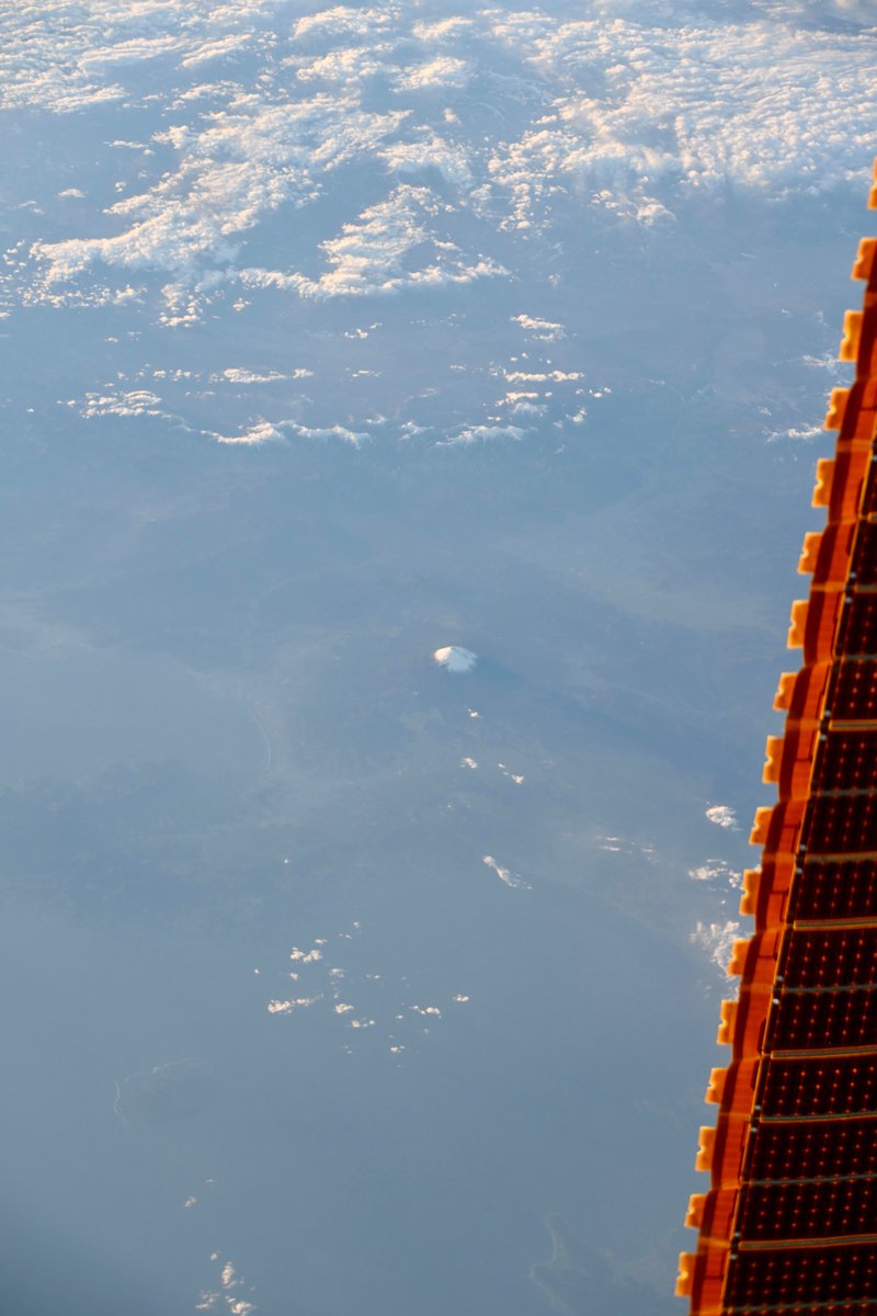 油井 亀美也　Kimiya.Yui tweet media