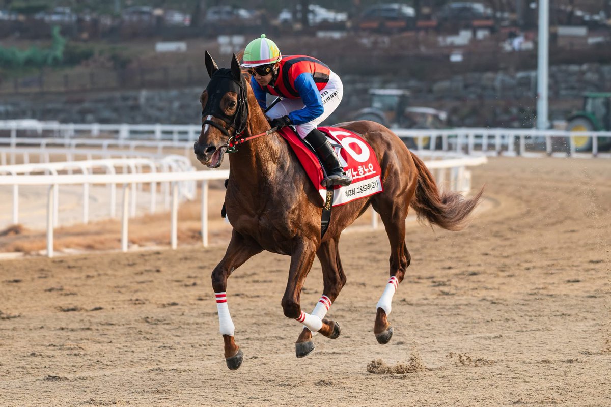 Shuhei Hori（こまち🐶の飼い主） (@koma178cm) / Posts / X