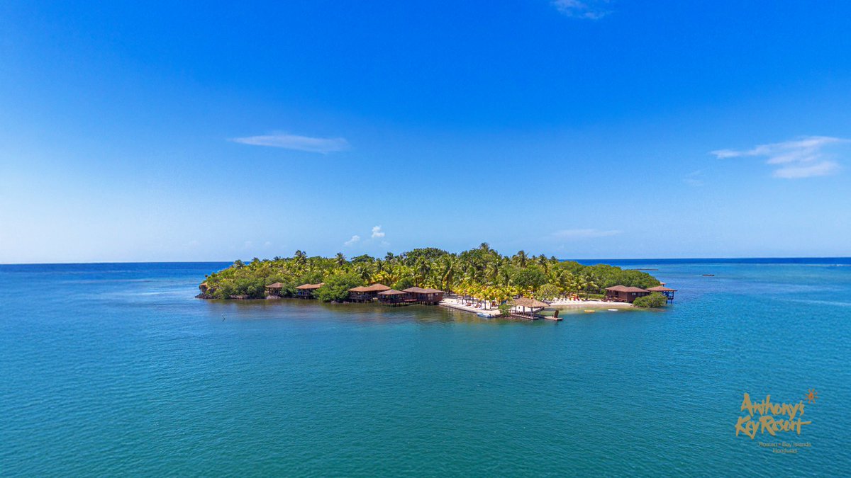 Anthony's Key Resort tweet media