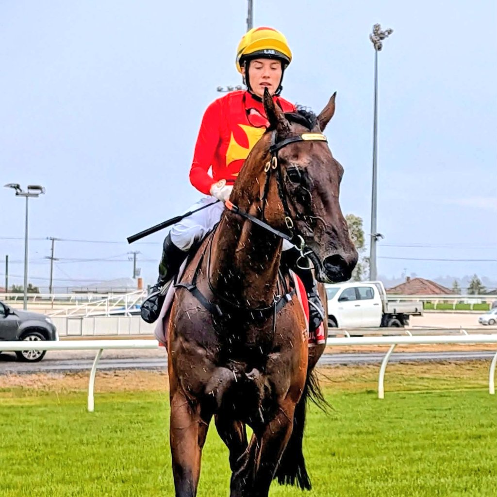 TrinderAdam's tweet image. Ilovethistown (4g Ilovethiscity x Liturgy) justified his short quote with a dominant win in tonight's 1200m Maiden in Launceston!

Congrats to owner Neil Gloury with his online purchase, who has now won over $43k with his first win at start 11. Thanks to @Ericabyrne_1! #Shire