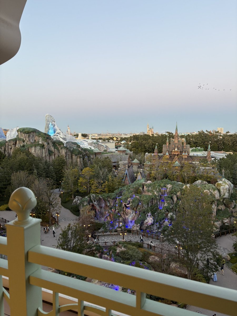 泊まり来たけどいい景色🐭