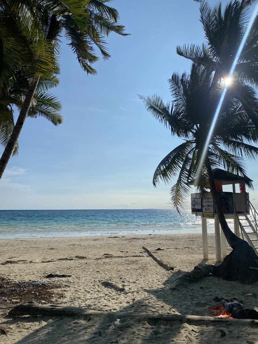 Tᒍ ᗷEᒪᒪᗯᗩᖇE tweet media