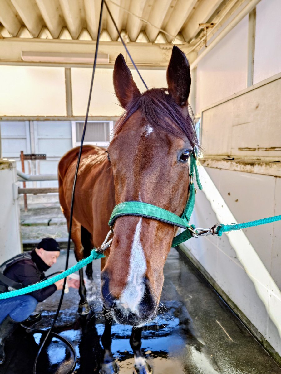 Epoca d'Oro (@orfevreair) / Posts / X