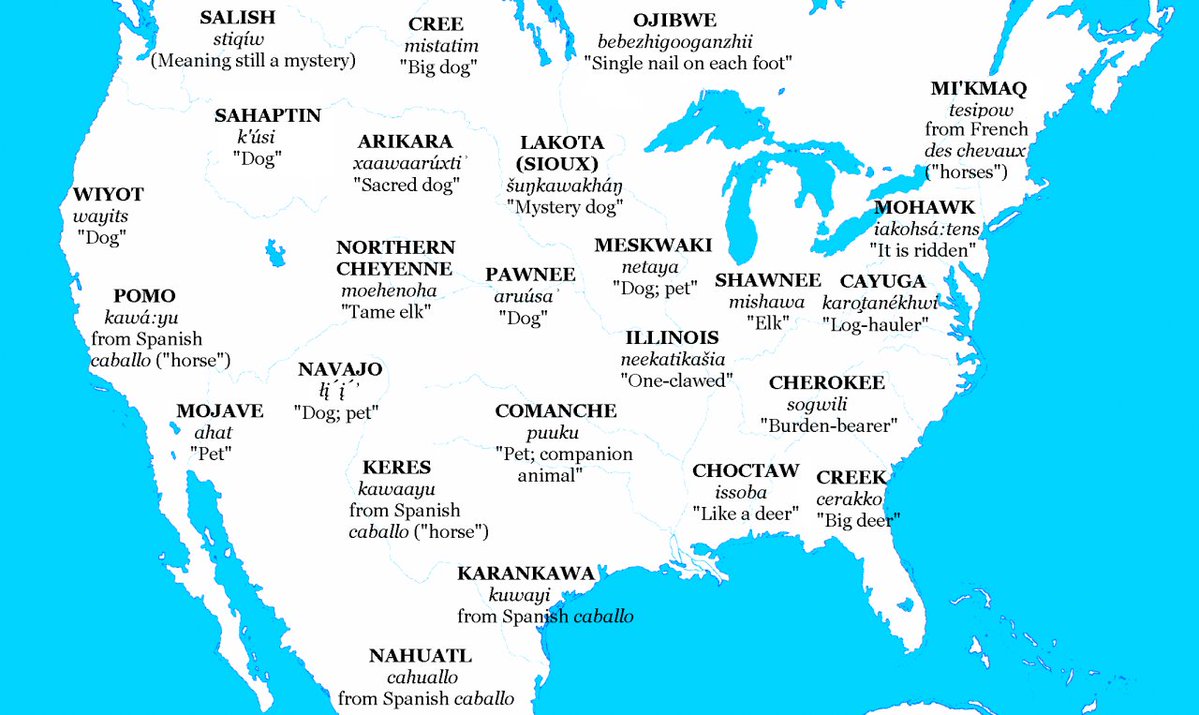 vintagemapstore's tweet image. Map of Native American etymologies for “horse”.