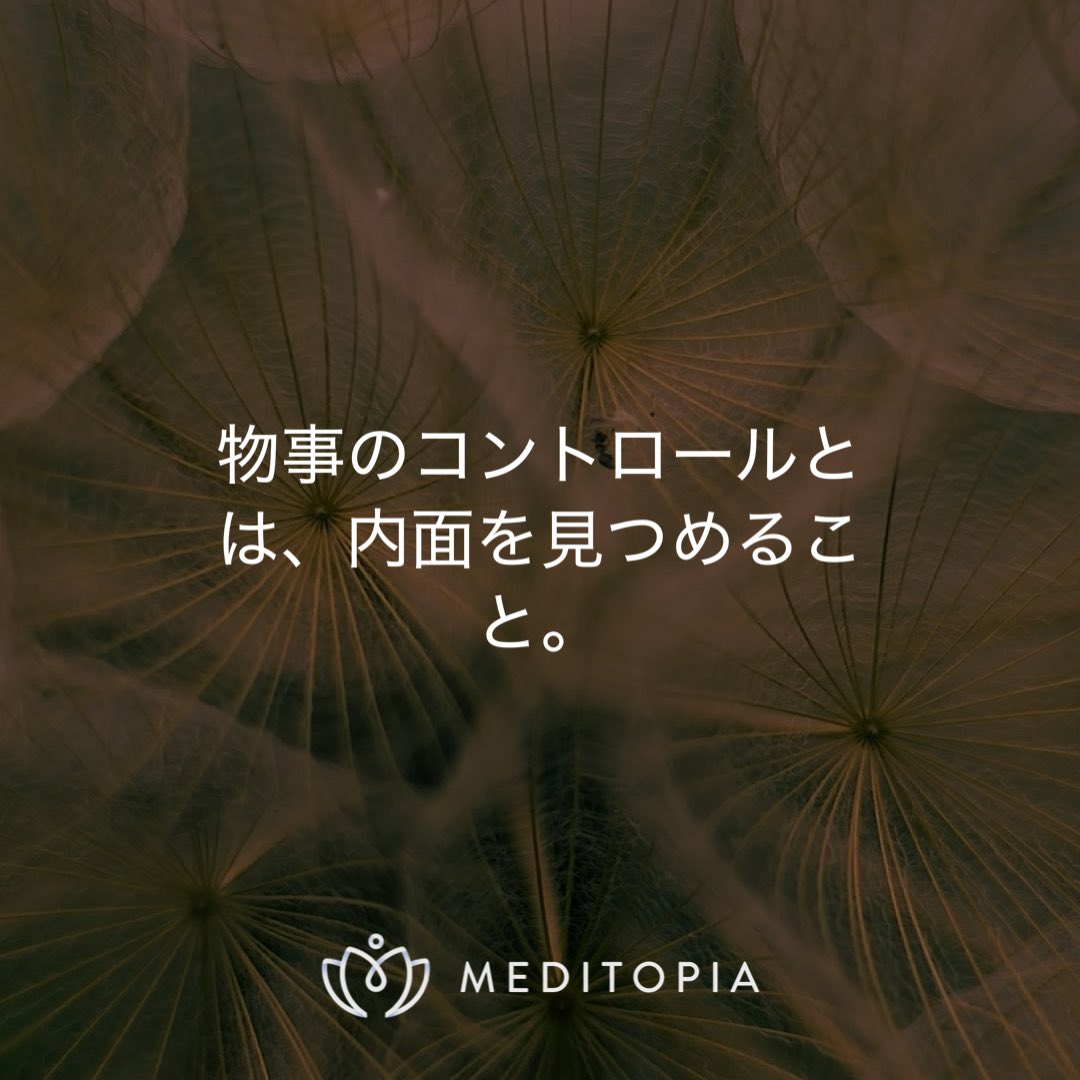 自己研鑽 tweet media