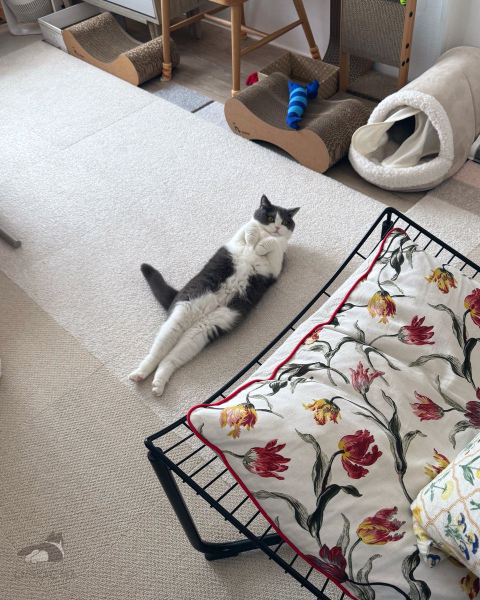 今日も落ちてた🥰