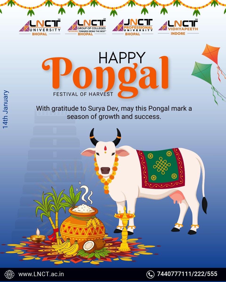 LNCT Group of Colleges tweet media