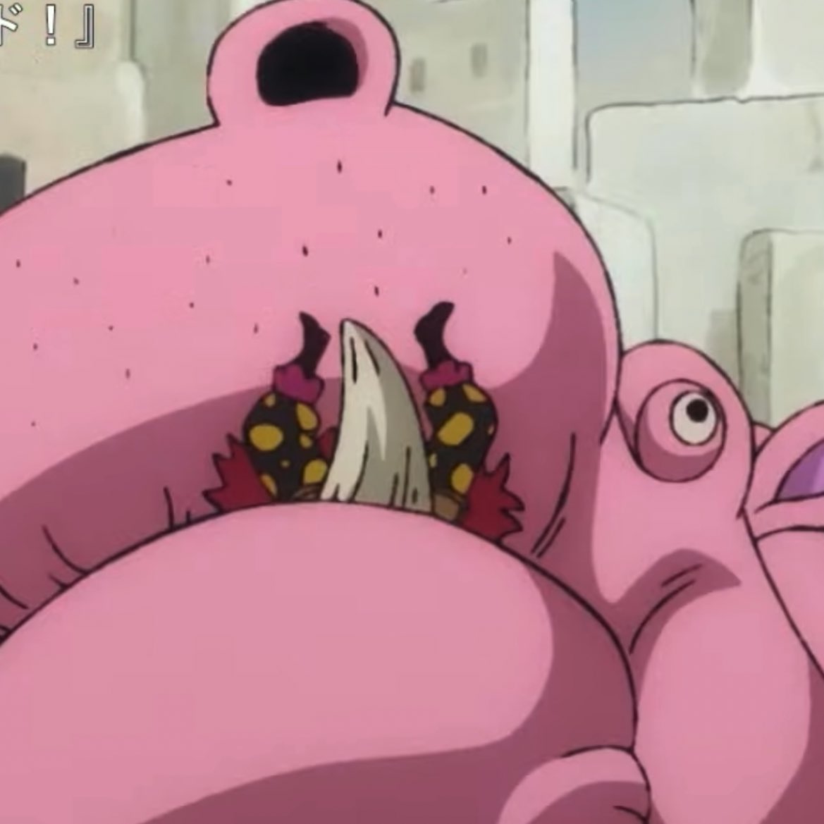 カバにモグモグされるキッドくんかわいいね！