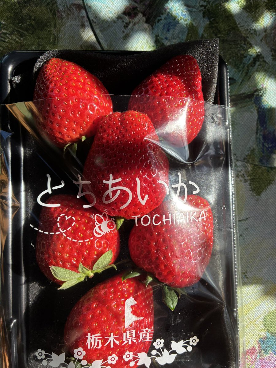 DimancheCafe's tweet photo. おはようございます。今日はいい天気☀️になりそうです。昨日は、栃木県から3時間かけて知人が店に来てくれびっくりしました。お土産に🍓を頂きました。かなり甘くて美味しいー。有難うございます。今日は木���のチョウタイを��けて働きますか https://t.co/DB5gc9DR6l