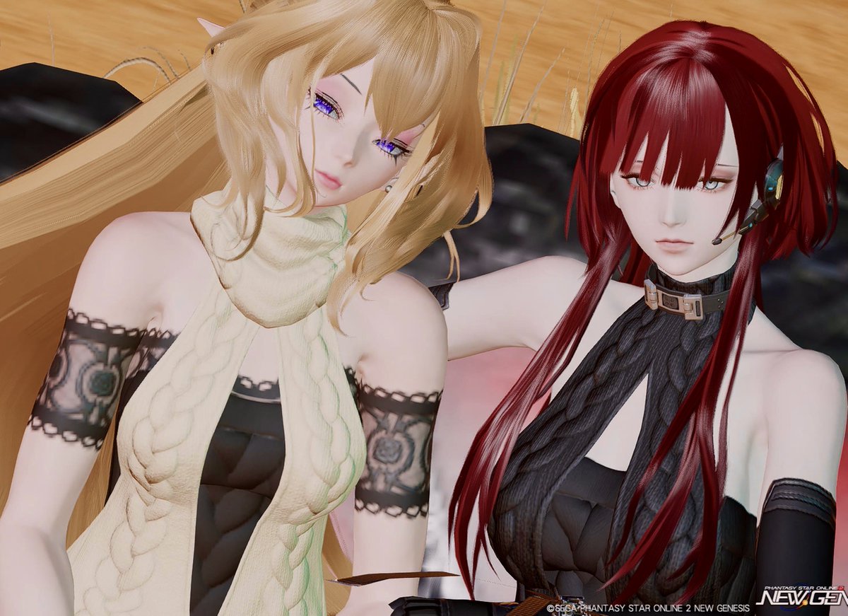 sinkurohero's tweet photo. #PSO2NGS_SS
横構図👍 https://t.co/zHY07f2DUz