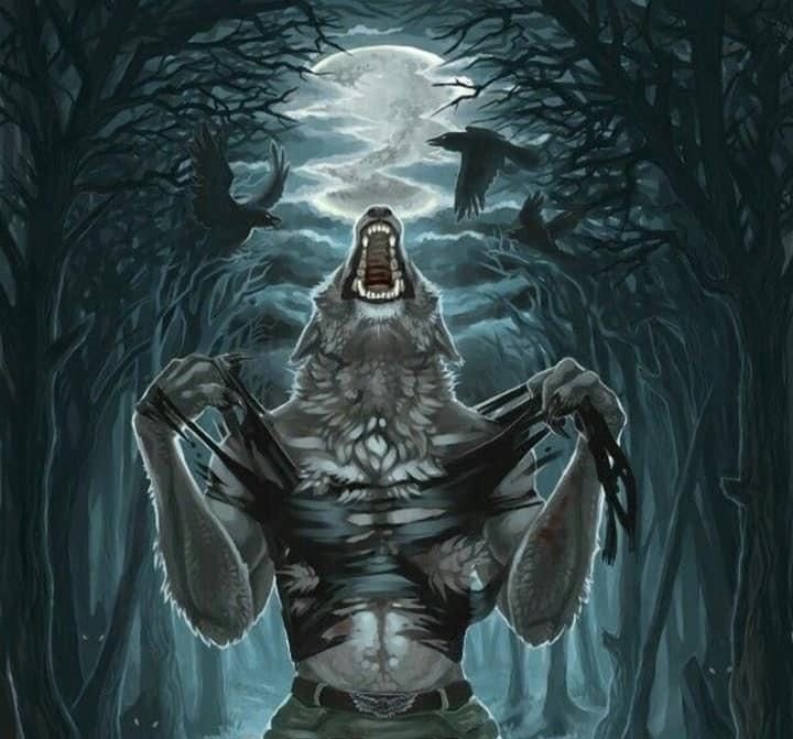 Calidoquerer's tweet image. "Los celos son para inseguros"

Yo cuando veo que socializa mas de lo qué me gustaría.