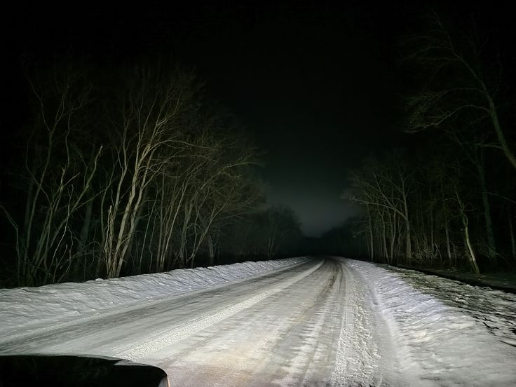 MythoAmerica's tweet image. goodnight ☾