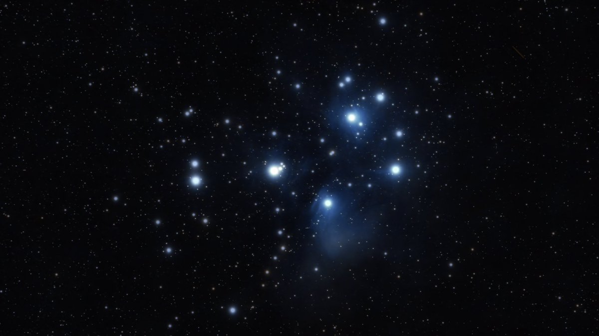 Sqwallify tweet media