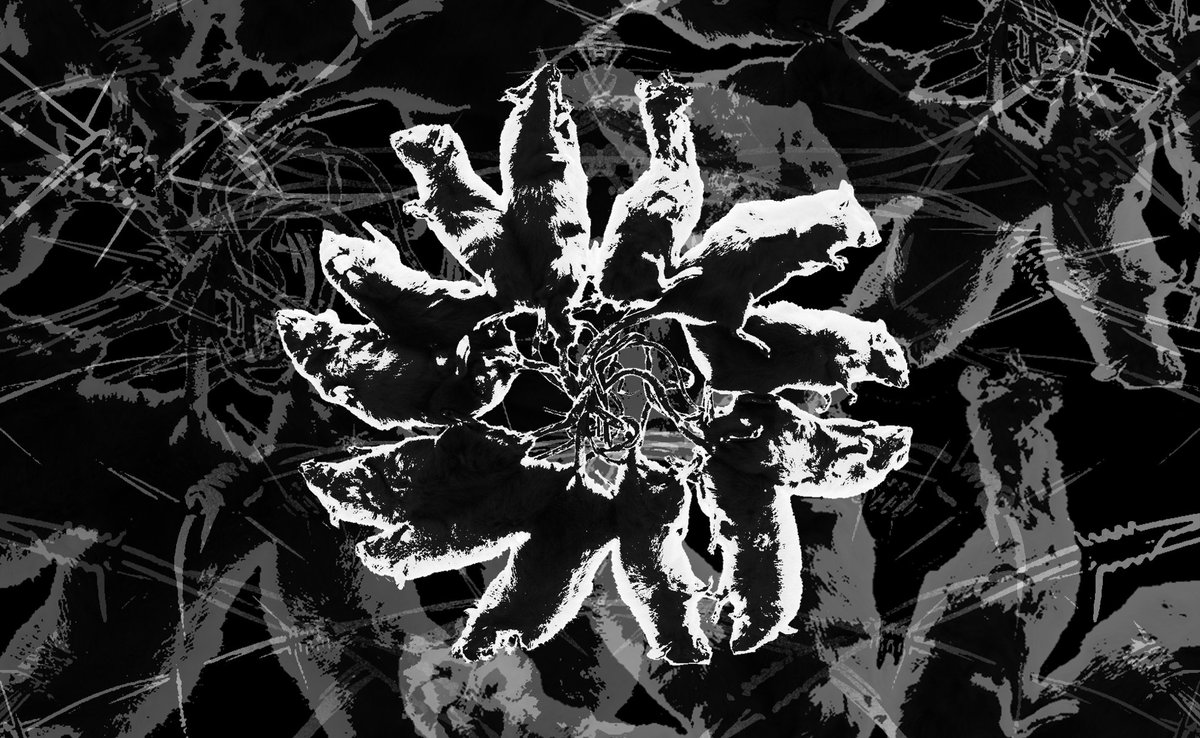 ♯ ⋮ 𝐇𝐔𝐍𝐓𝐈𝐍' 𝐓𝐈𝐌𝐄 .ᐟ (@huntinpigeons) on Twitter photo 