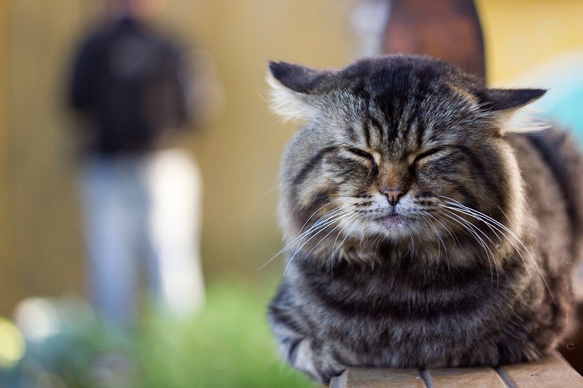 RealityDesignz's tweet image. Thuyền trôi vào bờ khi mặt trời lặn sau những ngọn núi 🏞️🚤