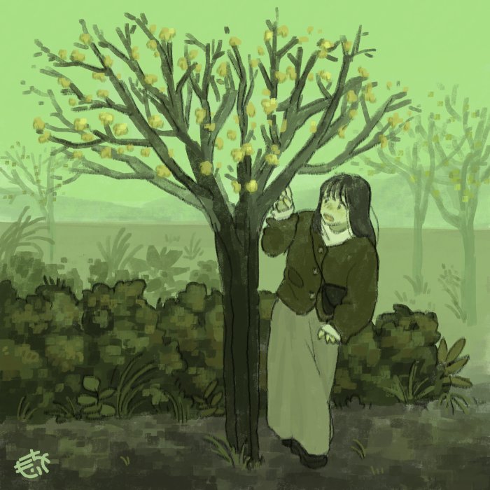 snow_morio3's tweet image. 🌼