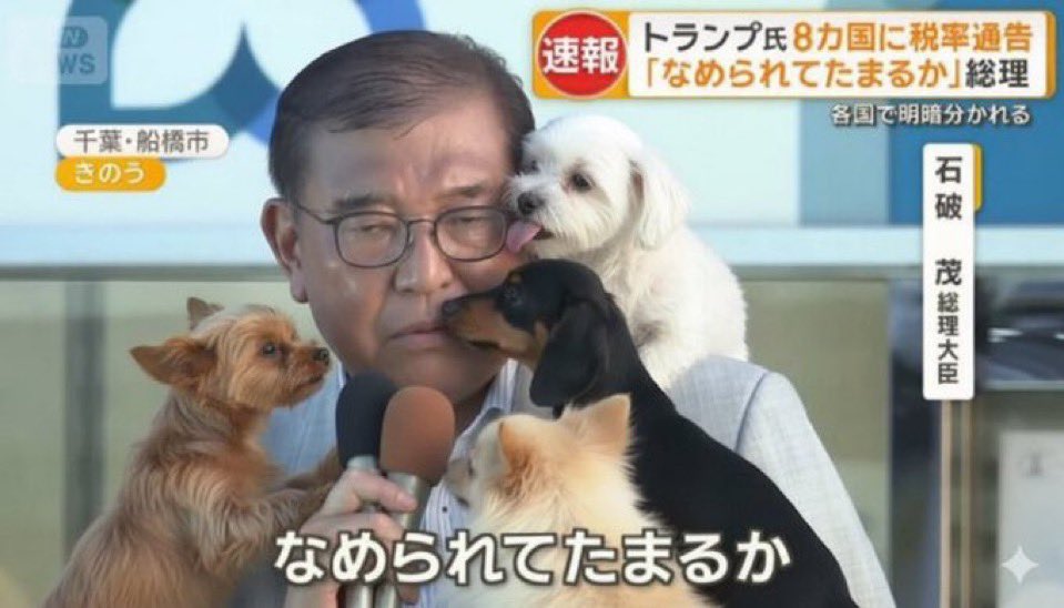 ゔりおドッグ (@vodelga0727) on Twitter photo 