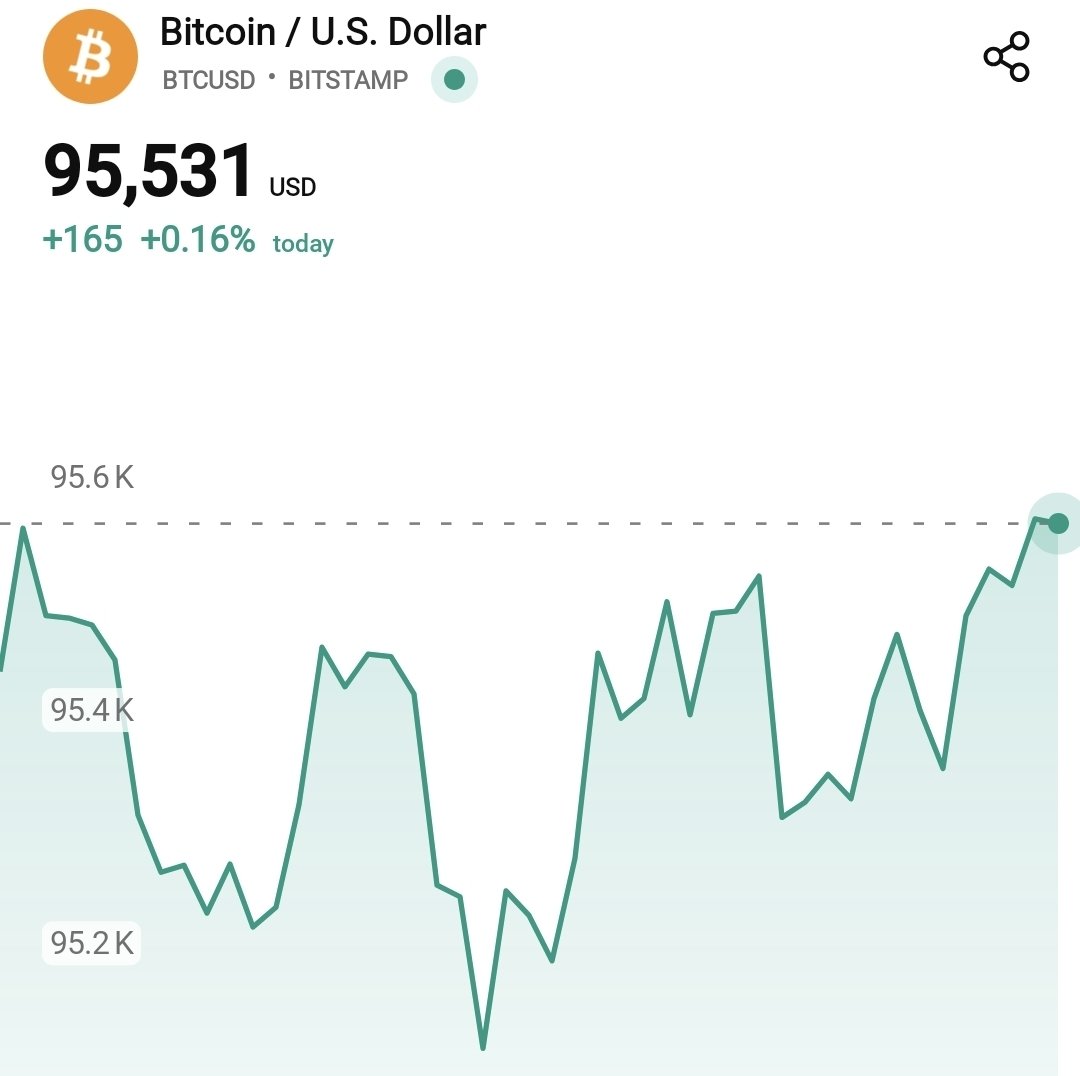 🚨 BITCOIN SMASHES $95K: BEARS WIPED! As #Bitcoin crossed $95,000, $600  Million in positions were liquidated over the last 24 hours - Bears have  been wiped out, and Bulls are now in control!