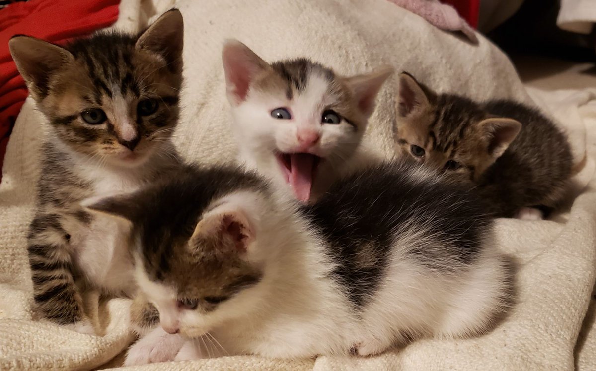 Ed Winters tweet media