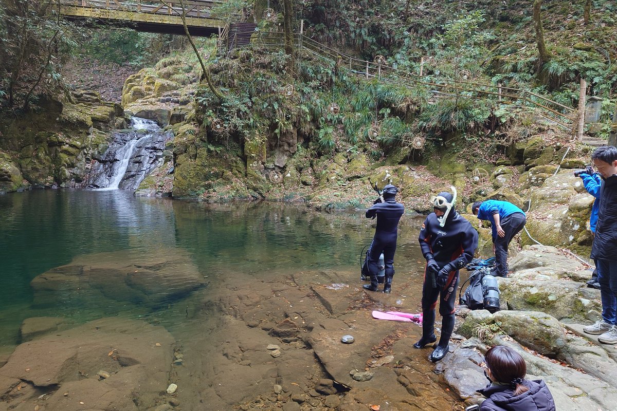kapaguy's tweet image. 赤目四十八滝、これから赤目滝水族館の館長らが潜って調査。水温2,2℃さてオオサンショウウオは見つかったのか？詳しくは赤目滝水族館の公式Xを！