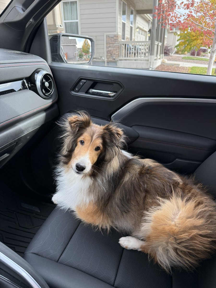 Brian Bledsoe 🐊 tweet media