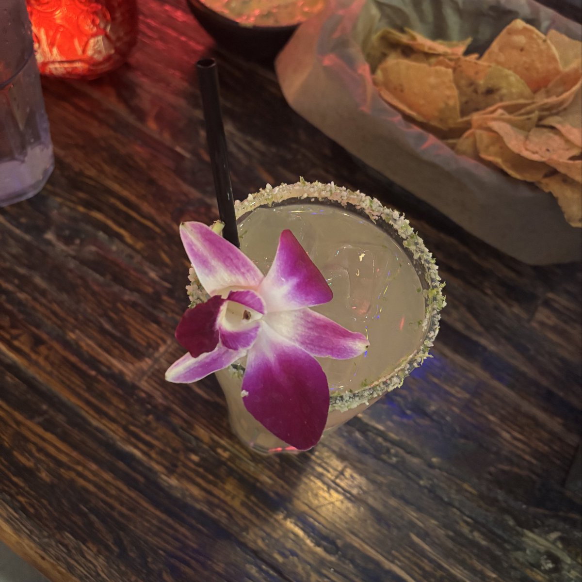 took harumaki to get a drink and tacos #therewasnothingbutalchoholinthis