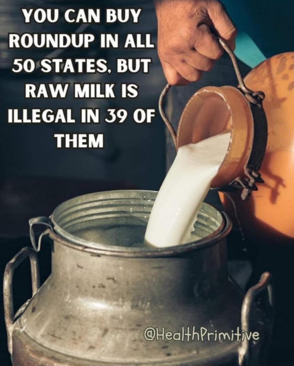 thehealthb0t's tweet image. 