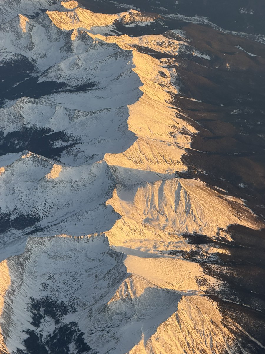 Captain Dave tweet media