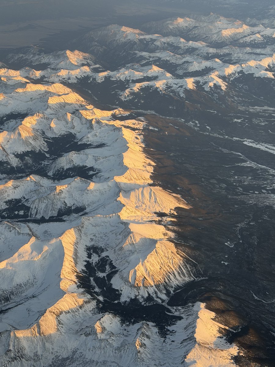 Captain Dave tweet media