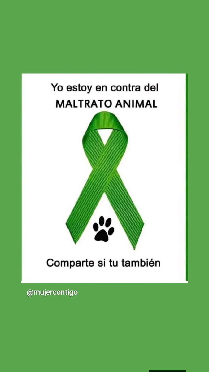 Hector Garcia (@hectorg47926510) on Twitter photo 