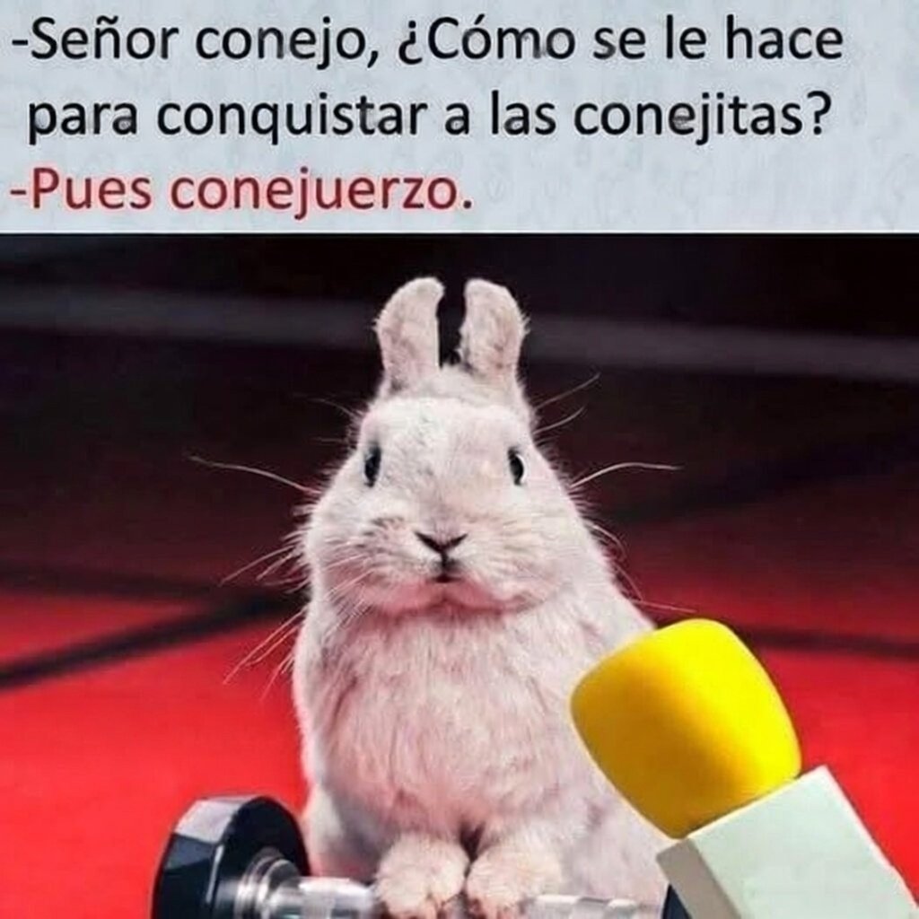 - Señor conejo, ¿cómo se le hace para conquistar a las conejitas? 

- Pues conejuerzo.