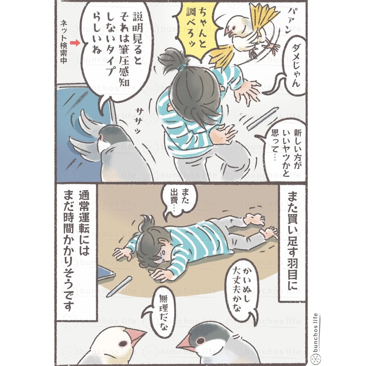 再購入したアップルペンシル届きました!でも買い間違えたみたい…
#文鳥 
#4コマ漫画 