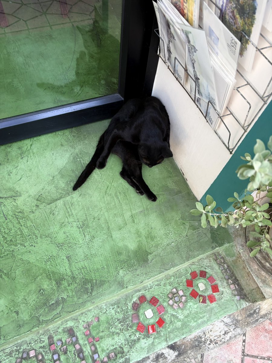 tybububoo's tweet image. ช้านรักร้านหนังสืออิสระมาก ♡ 
ห้ามหายไปไหนนะ T——T 

📍สวนเงินมีมา 
(+น้องเหมียวหน้าร้านร้านหนังสือเดินทาง)