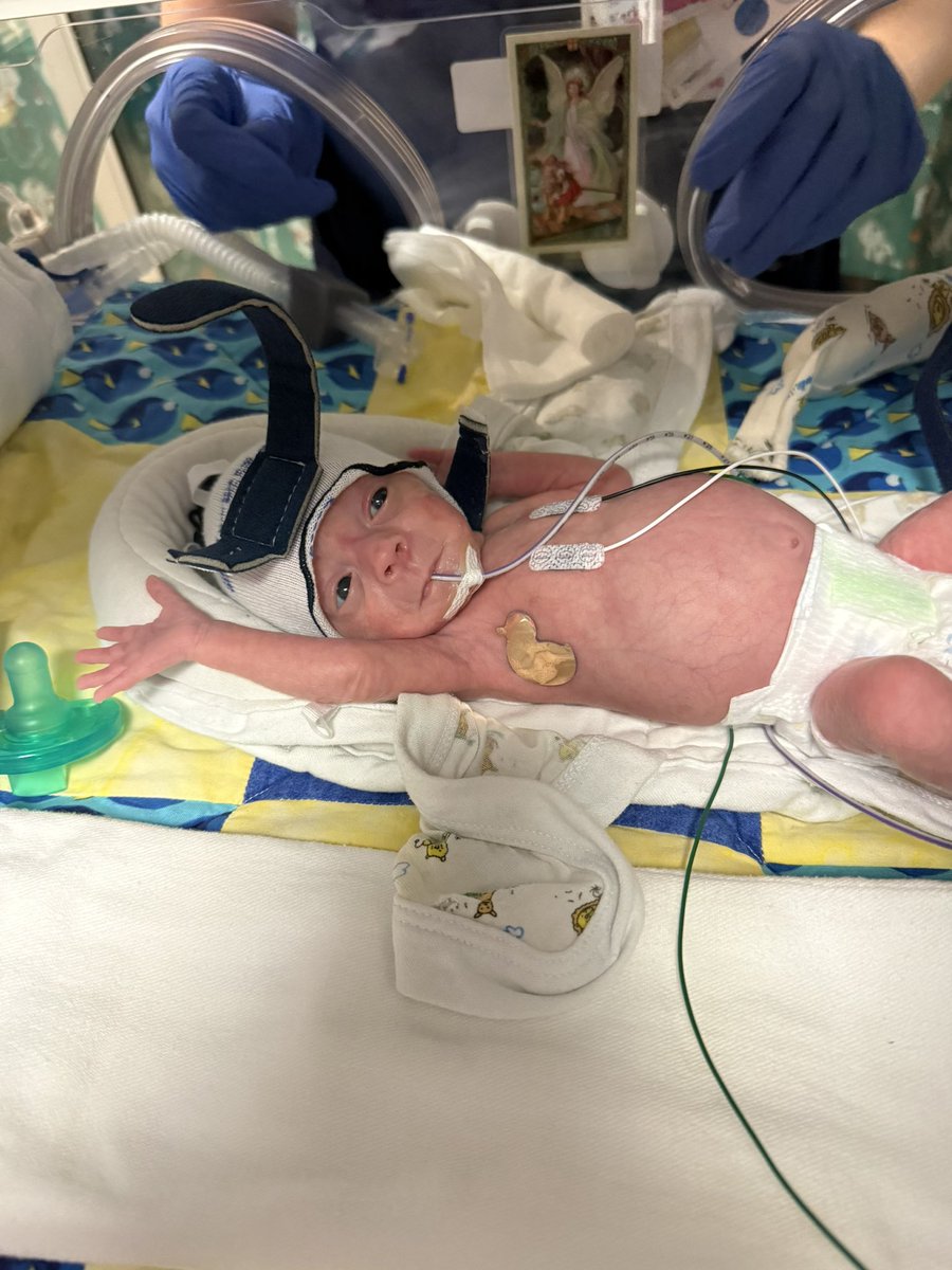 nikobaseball1's tweet image. Superman! #TAVO