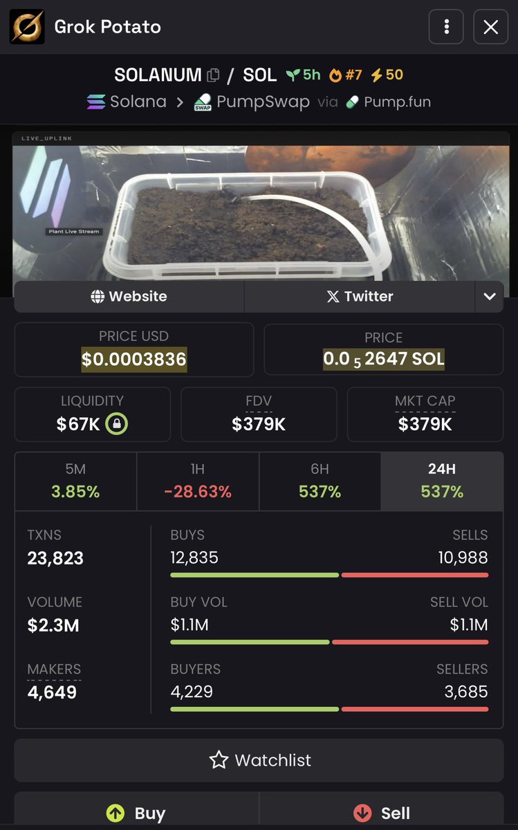 Crypto_Rizz tweet media