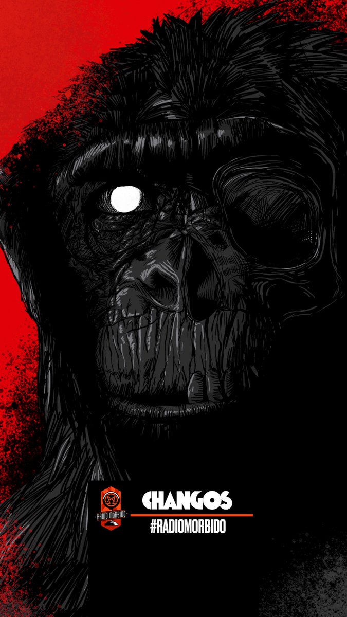 MUNDO MORBIDO tweet media