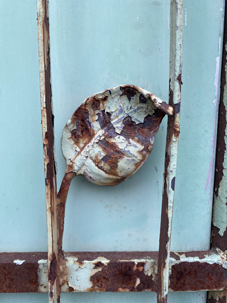 Sonia Zuccaro tweet media