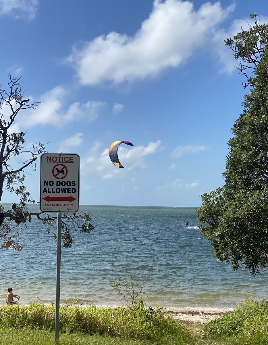 roamingfox | Alma tweet media