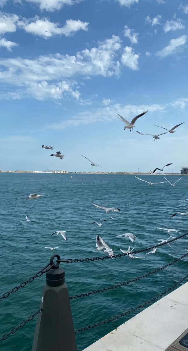 أحيانًا تكفي لحظة واحدة لتحملك بعيدًا، وتتركك حيًّا مدى العمر.