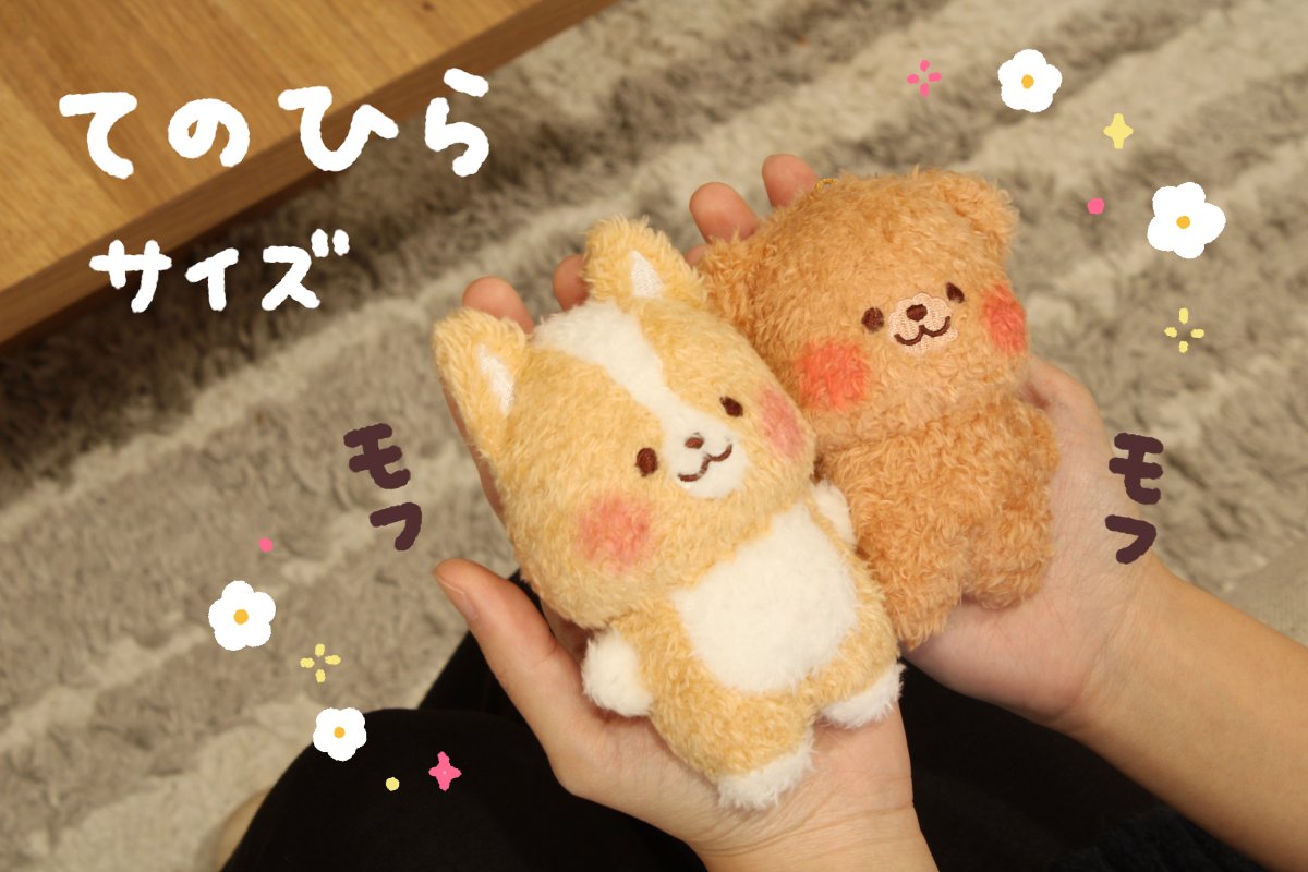 『まるまるコーギー』＆『ふわもこトイプードル』
マスコット化プロジェクト

1/16(金)12:00～スタート!!

プロジェクトページを公開しました！
camp-fire.jp/projects/91576…

ぜひご支援の程よろしくお願いいたします！

※予め会員登録いただくとご支援時スムーズです