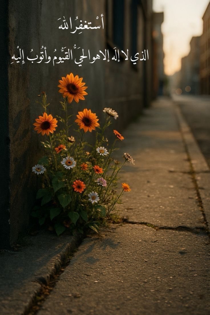 ——— tweet media