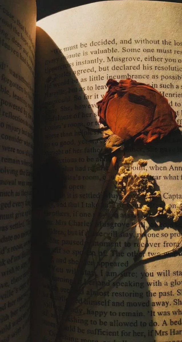 cenourinha lésbica tweet media