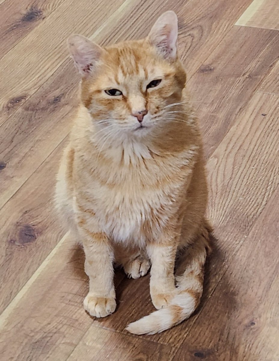 🌈🐈‍⬛ nae Ⅲ 🐈‍⬛🌈 (@_____nae_____) / Posts / X